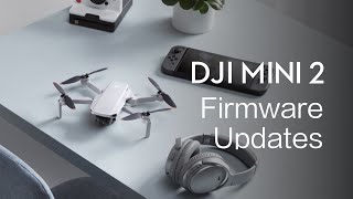 DJI Mini 2  How To Update the Firmware [upl. by Steddman]