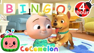 BINGO  4 HOUR CoComelon Nursery Rhymes [upl. by Lilybel730]