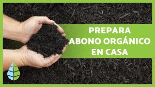 Cómo hacer ABONO ORGÁNICO CASERO paso a paso🌱  Mejores fertilizantes caseros 🍌 [upl. by Materse]