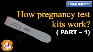 Pregnancy Test Instructions  Suresign Home Midstream Pregnancy Test Demo [upl. by Ardnaxila328]