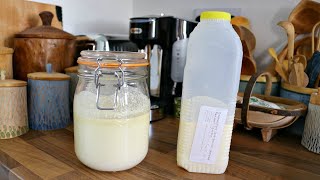 How To Make Dairy Milk Kefir [upl. by Nij]