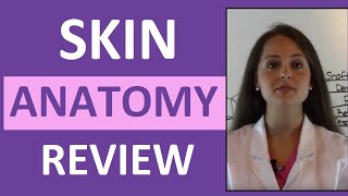 Anatomy amp Physiology Integumentary Skin System Overview [upl. by Atnek]