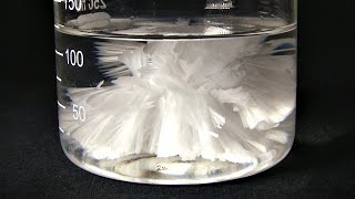 Supersaturated Sodium Acetate Crystallization [upl. by Braunstein]