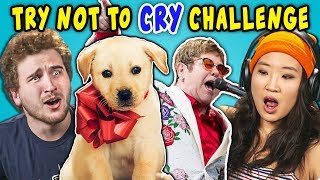 Adults React To Try Not To Cry Challenge [upl. by Alvy]