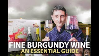 10Minute Guide to Burgundy  Fine Wines from Bourgogne Part1 [upl. by Eberle281]