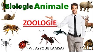 zoologie biologie animale [upl. by Kcirddahc]