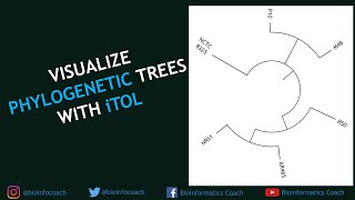 Visualize ANY phylogenetic trees using iTOL [upl. by Marva]