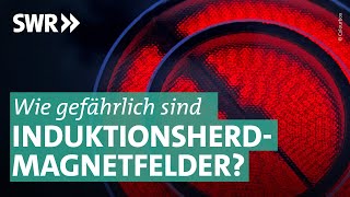 Induktionsherde als unterschätzte Gefahr I Marktcheck SWR [upl. by Keheley]