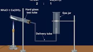 134 Laboratory preparation of ammonia [upl. by Alain]