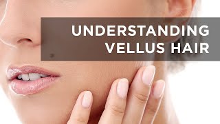 Osmosis Beauty Understanding Vellus Hairs Peach Fuzz [upl. by Mccord]