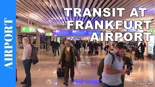 TRANSIT WALK AT FRANKFURT Airport FRA Terminal 1  Connection Flight Transfer Arriving amp Departing [upl. by Saidel909]