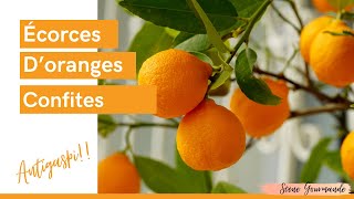 Recette des Écorces d’oranges confites [upl. by Richard10]