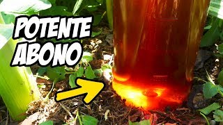 ¡Este Fertilizante Vale ORO Abono Casero para tus Plantas  La Huerta de Ivan [upl. by Daryle]