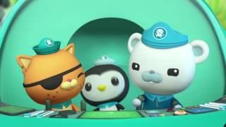 Octonauts Theme Tune [upl. by Tinaret]