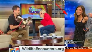 Funniest TV News Bloopers of 2021 [upl. by Aivatnahs23]